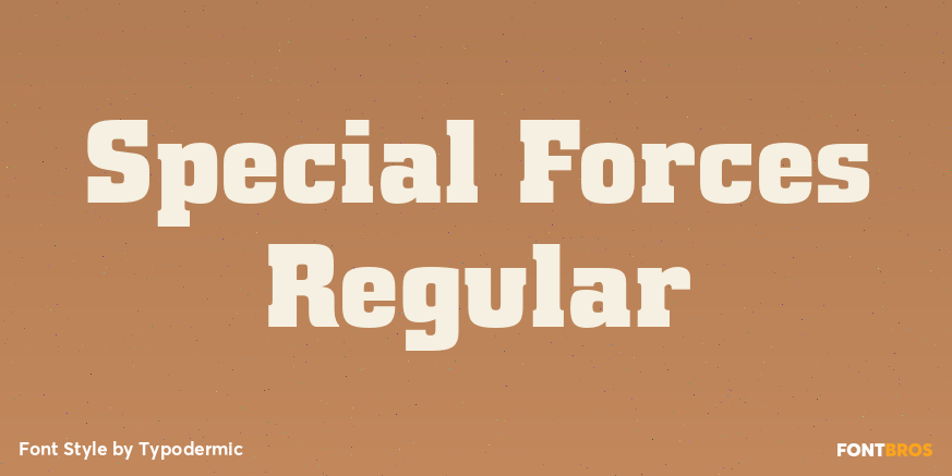 Special Forces Regular Font Poster #1