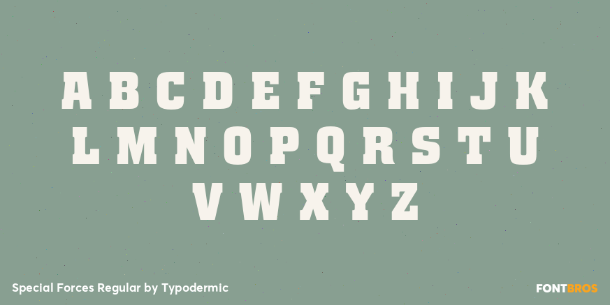 Special Forces Regular Font Poster #2