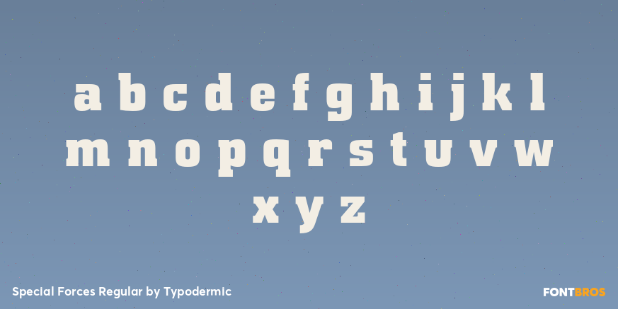 Special Forces Regular Font Poster #3