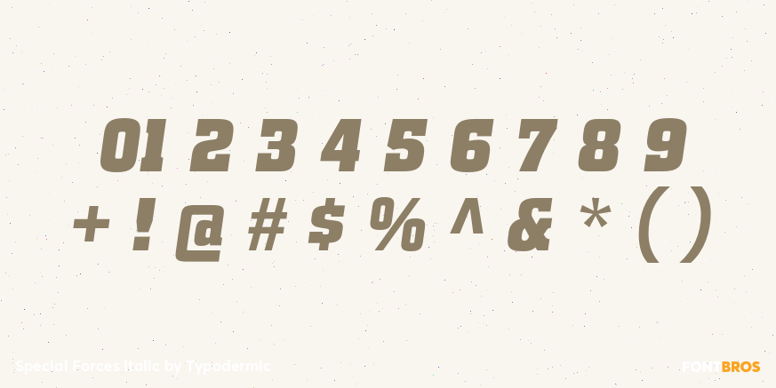 Special Forces Italic Font Poster #1