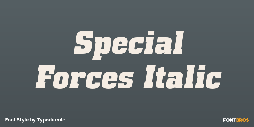 Special Forces Italic Font Poster #1