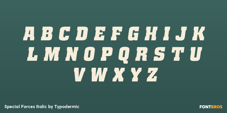 Special Forces Italic Font Poster #2