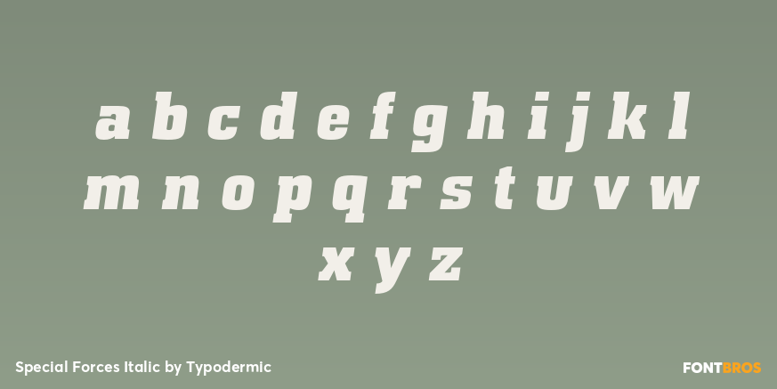 Special Forces Italic Font Poster #3