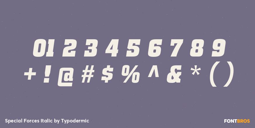 Special Forces Italic Font Poster #4