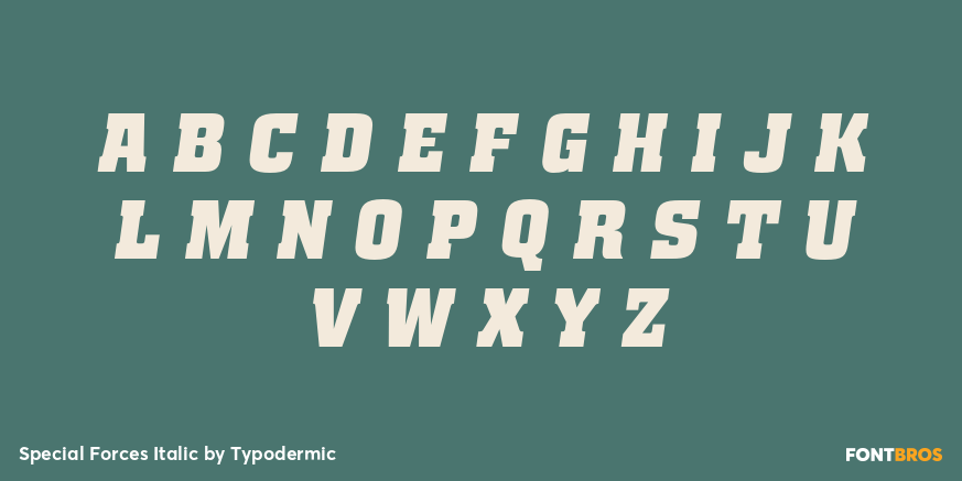 Special Forces Italic Font Poster #1