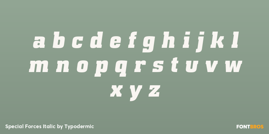 Special Forces Italic Font Poster #1