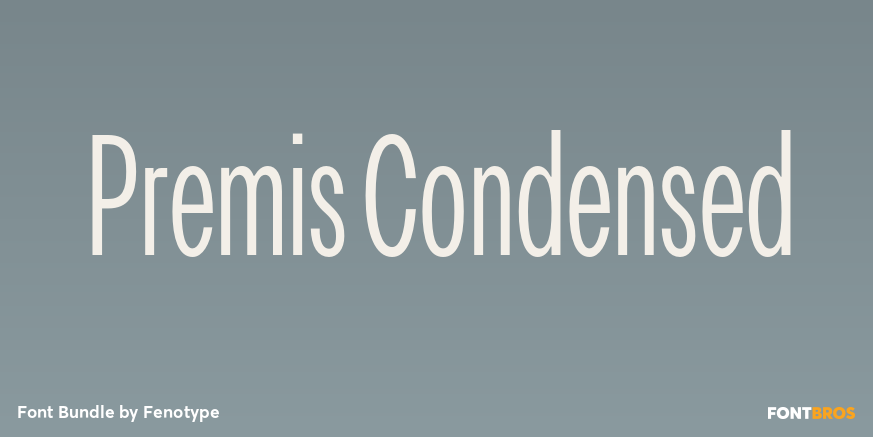 Premis Condensed Poster