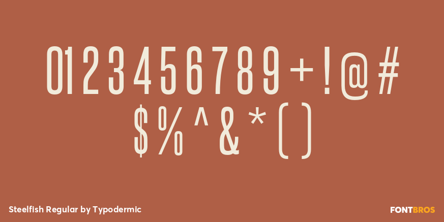 Steelfish Regular Font Poster #1