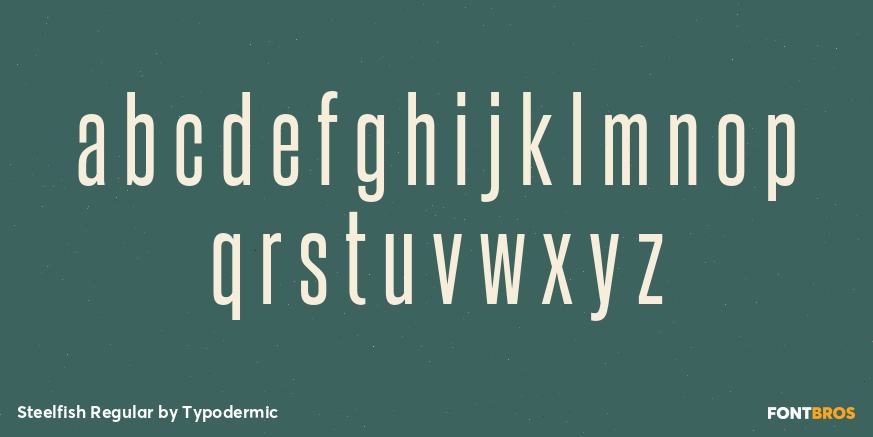 Steelfish Regular Font Poster #1