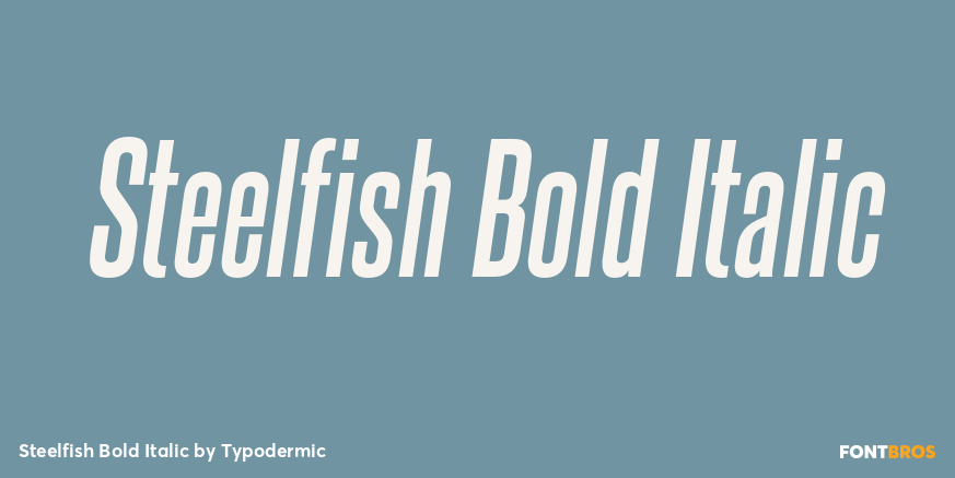 Steelfish Bold Italic Font Poster #1