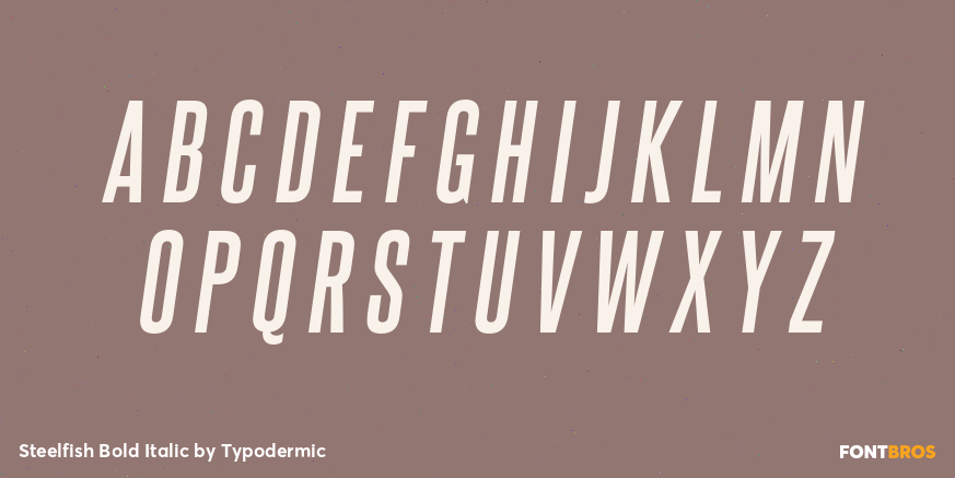 Steelfish Bold Italic Font Poster #2
