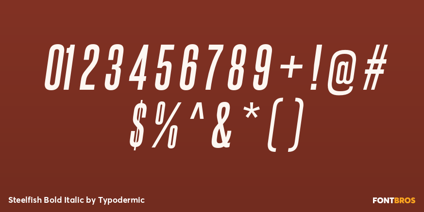 Steelfish Bold Italic Font Poster #4