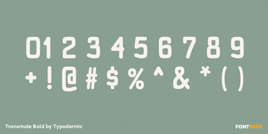 Transmute Bold Font Poster #4