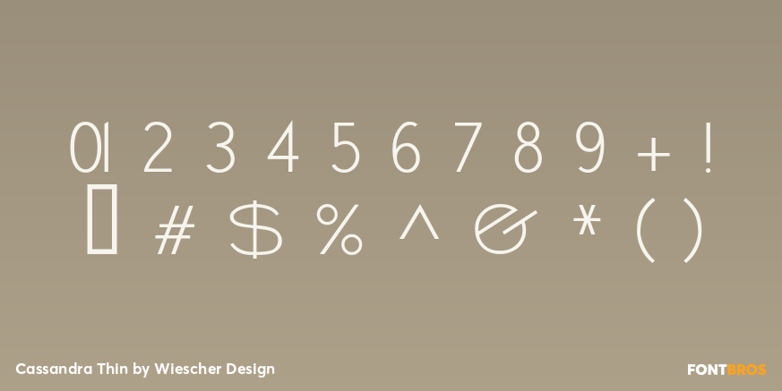 Cassandra Thin Font Poster #4