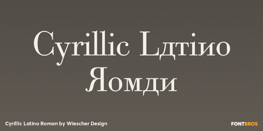 Cyrillic Latino Roman Font Poster #1
