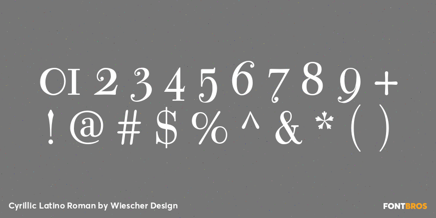 Cyrillic Latino Roman Font Poster #4