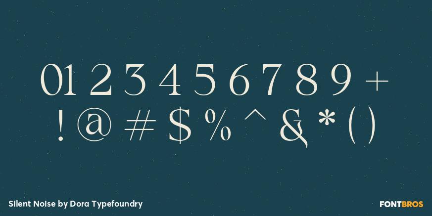 Silent Noise Font Poster #1