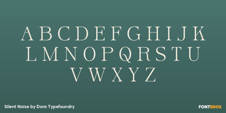 Silent Noise Font Poster #1