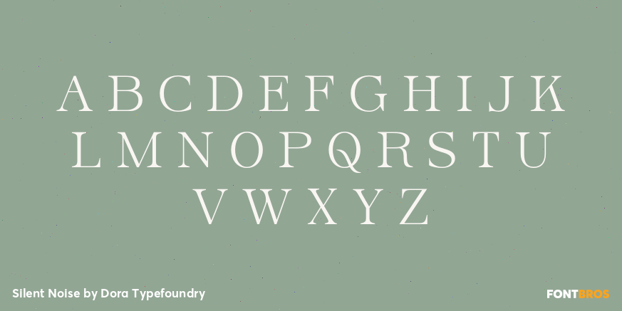 Silent Noise Font Poster #1