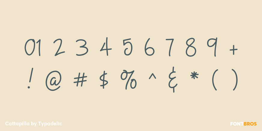 Cattapilla Font Poster #4