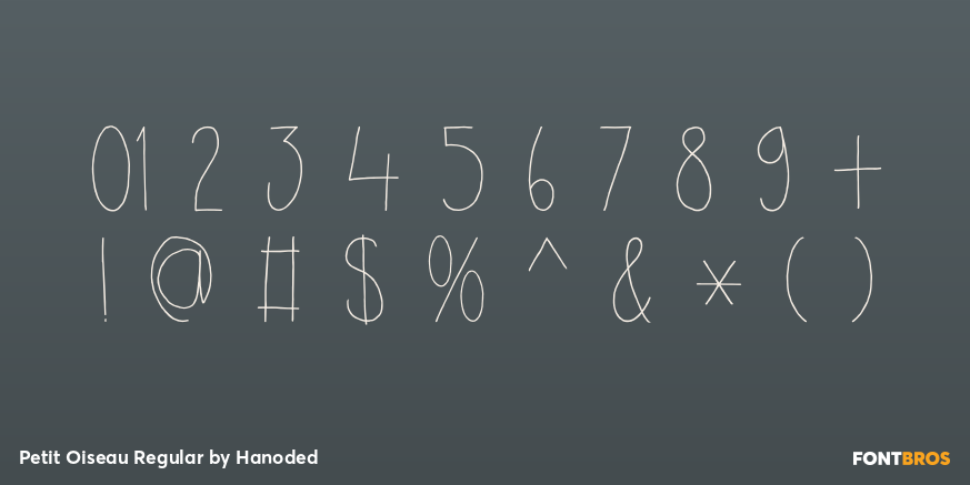 Petit Oiseau Regular Font Poster #4