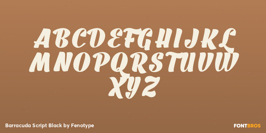 Barracuda Script Black Font Poster #2