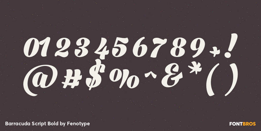 Barracuda Script Bold Font Poster #4