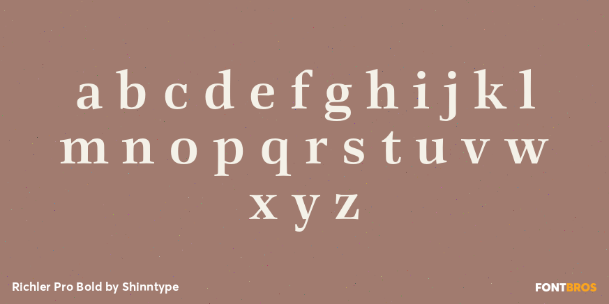 Richler Pro Bold Font Poster #3