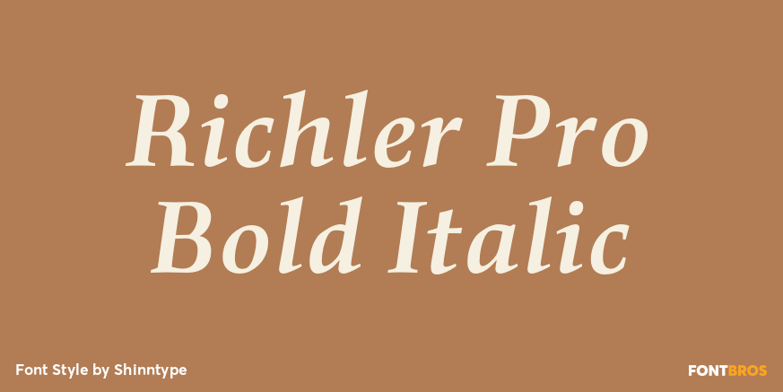 Richler Pro Bold Italic Font Poster #1