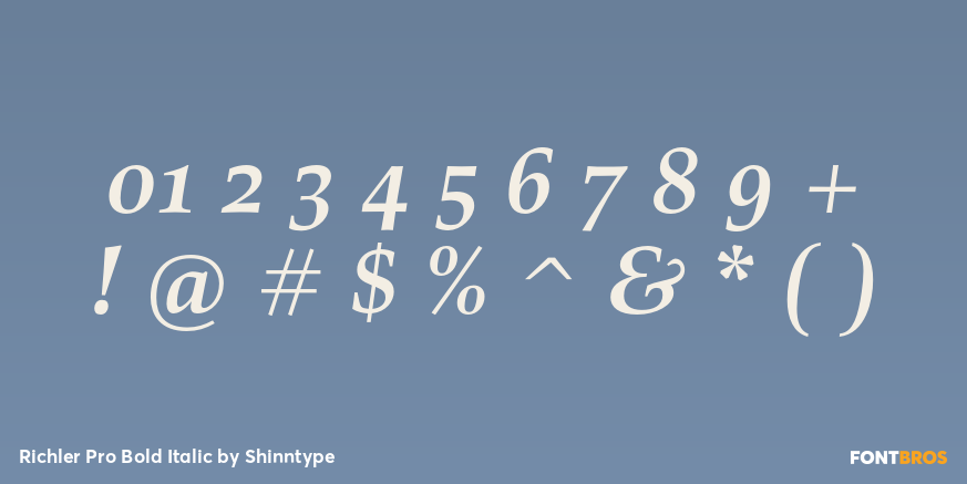 Richler Pro Bold Italic Font Poster #4