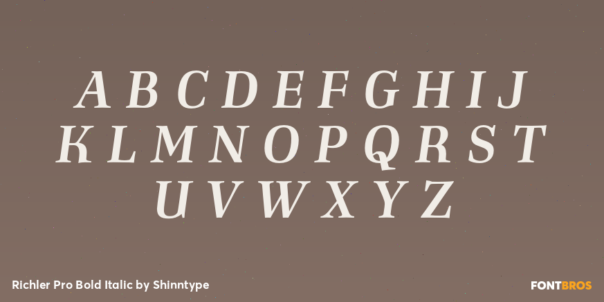 Richler Pro Bold Italic Font Poster #2