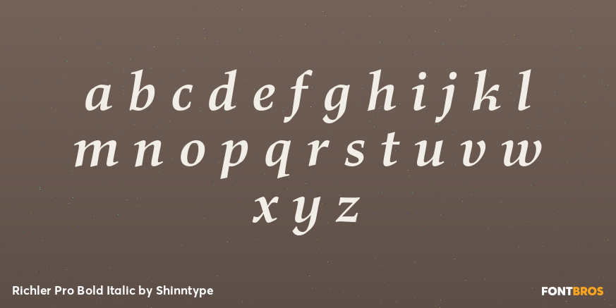 Richler Pro Bold Italic Font Poster #3
