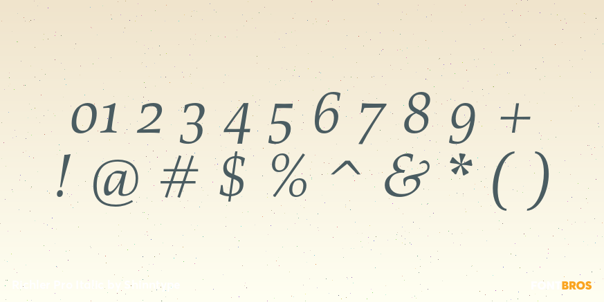 Richler Pro Italic Font Poster #4