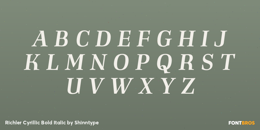 Richler Cyrillic Bold Italic Font Poster #2