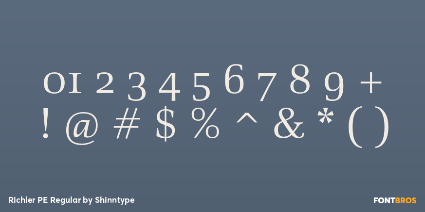 Richler PE Regular Font Poster #4
