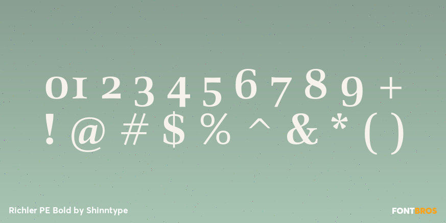 Richler PE Bold Font Poster #4