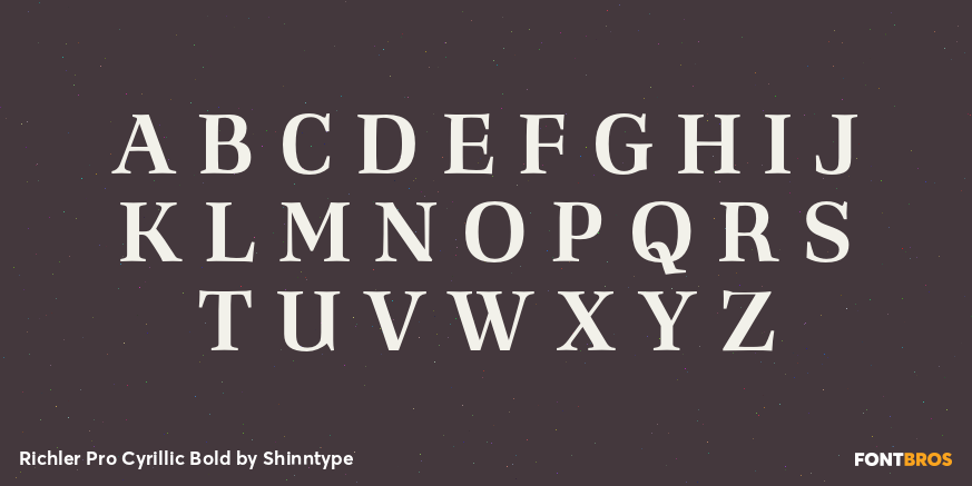 Richler Pro Cyrillic Bold Font Poster #2