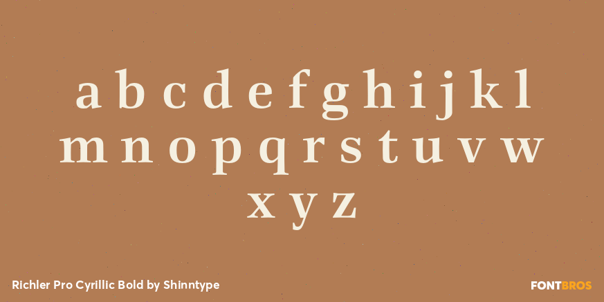 Richler Pro Cyrillic Bold Font Poster #3