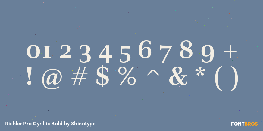 Richler Pro Cyrillic Bold Font Poster #4