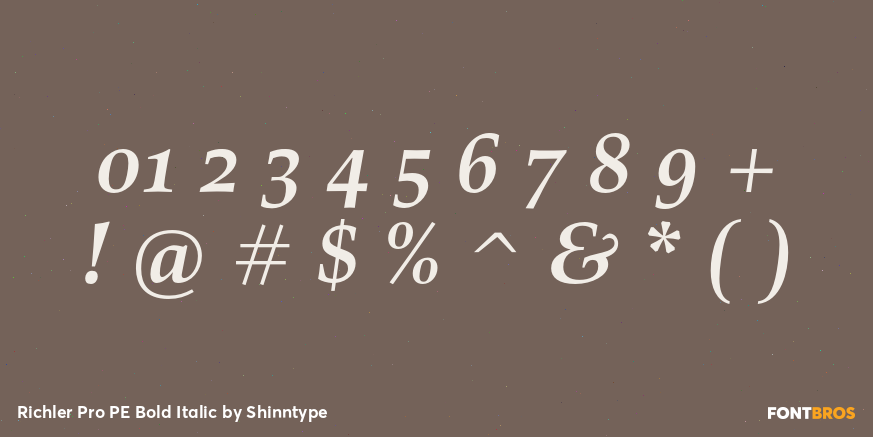 Richler Pro PE Bold Italic Font Poster #4