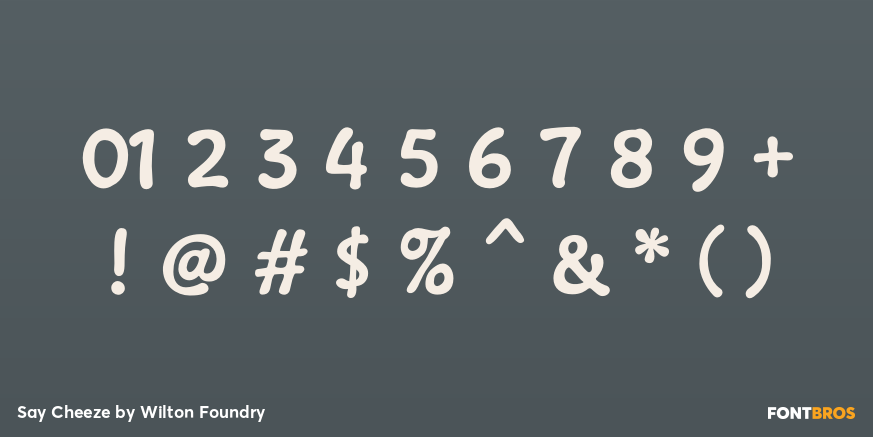 Say Cheeze Font Poster #4