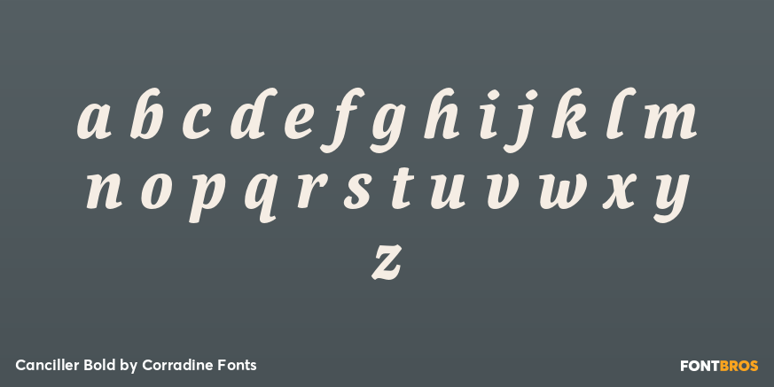 Canciller Bold Font Poster #1