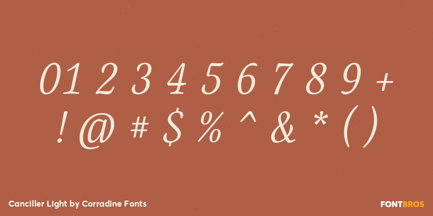 Canciller Light Font Poster #4