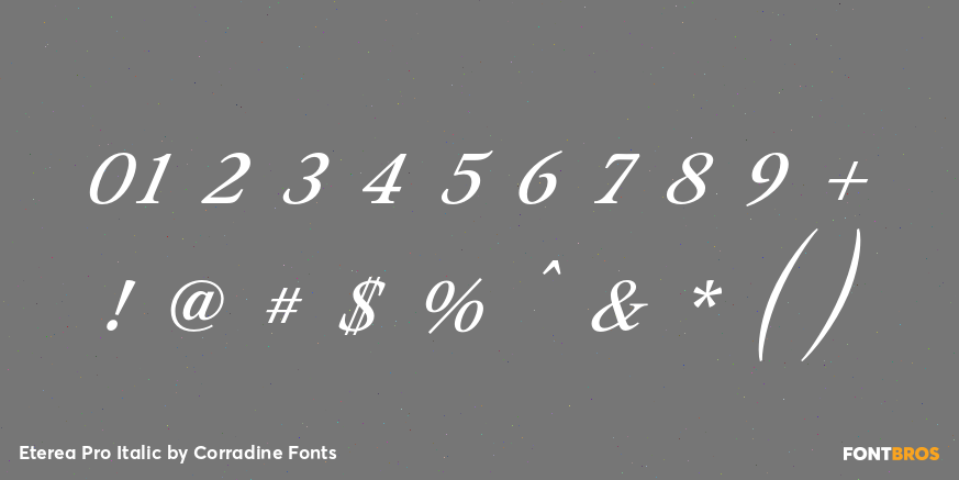 Eterea Pro Italic Font Poster #1