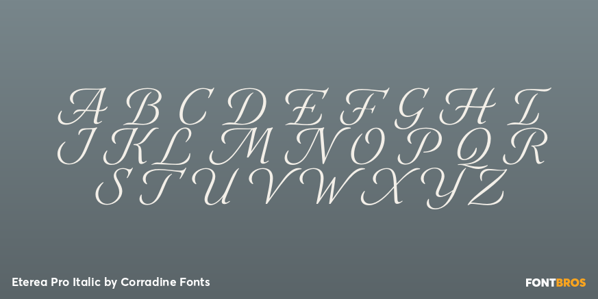 Eterea Pro Italic Font Poster #1