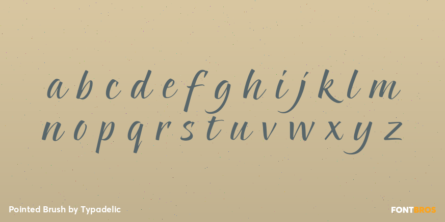 Pointed Brush Font Poster #3
