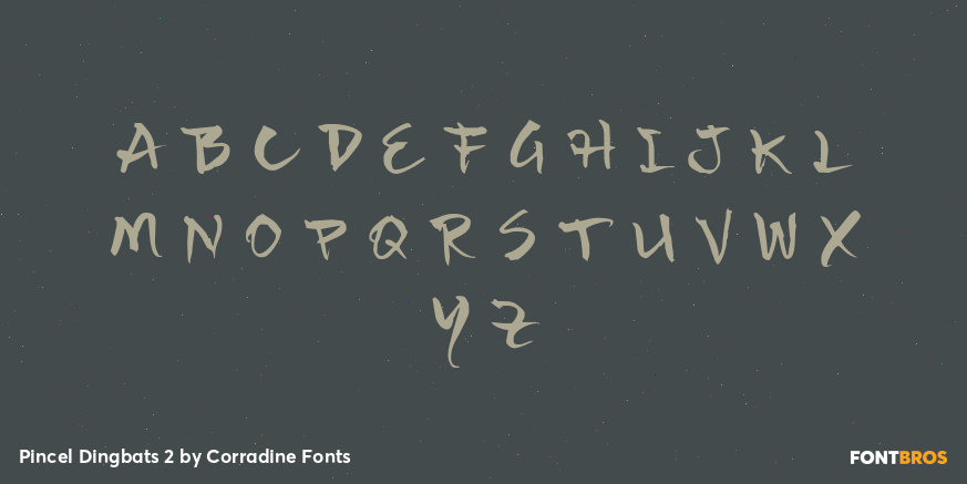Pincel Dingbats 2 Font Poster #2