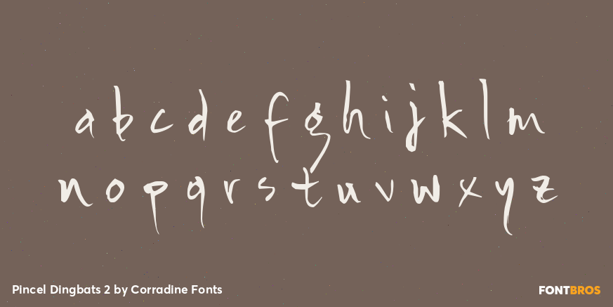 Pincel Dingbats 2 Font Poster #3