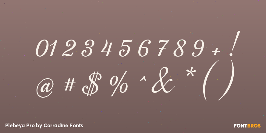 Plebeya Pro Font Poster #1