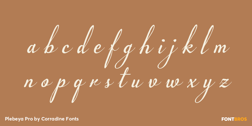 Plebeya Pro Font Poster #1